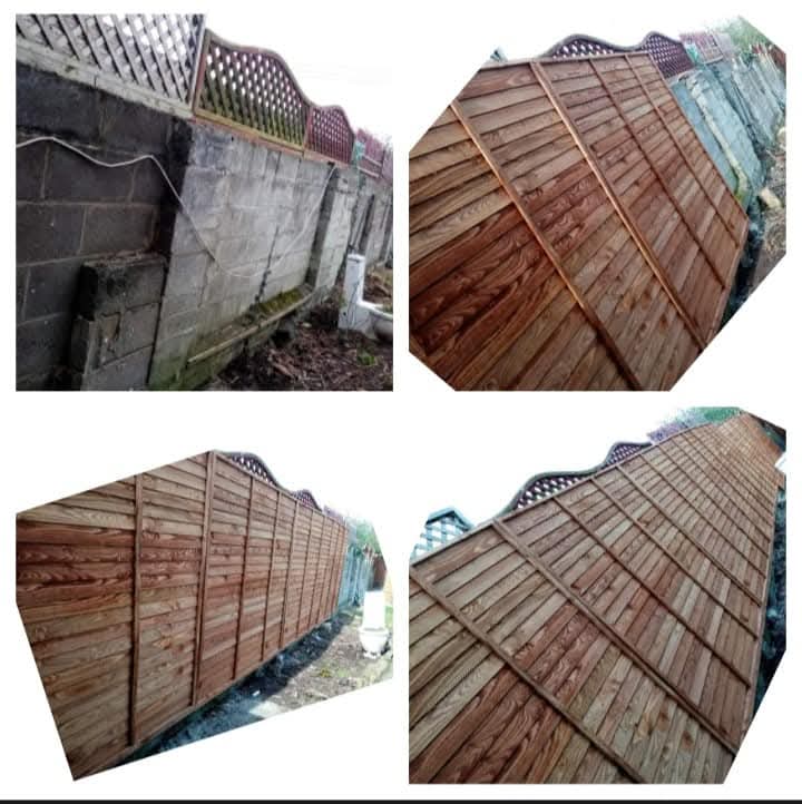 Garden Transformation